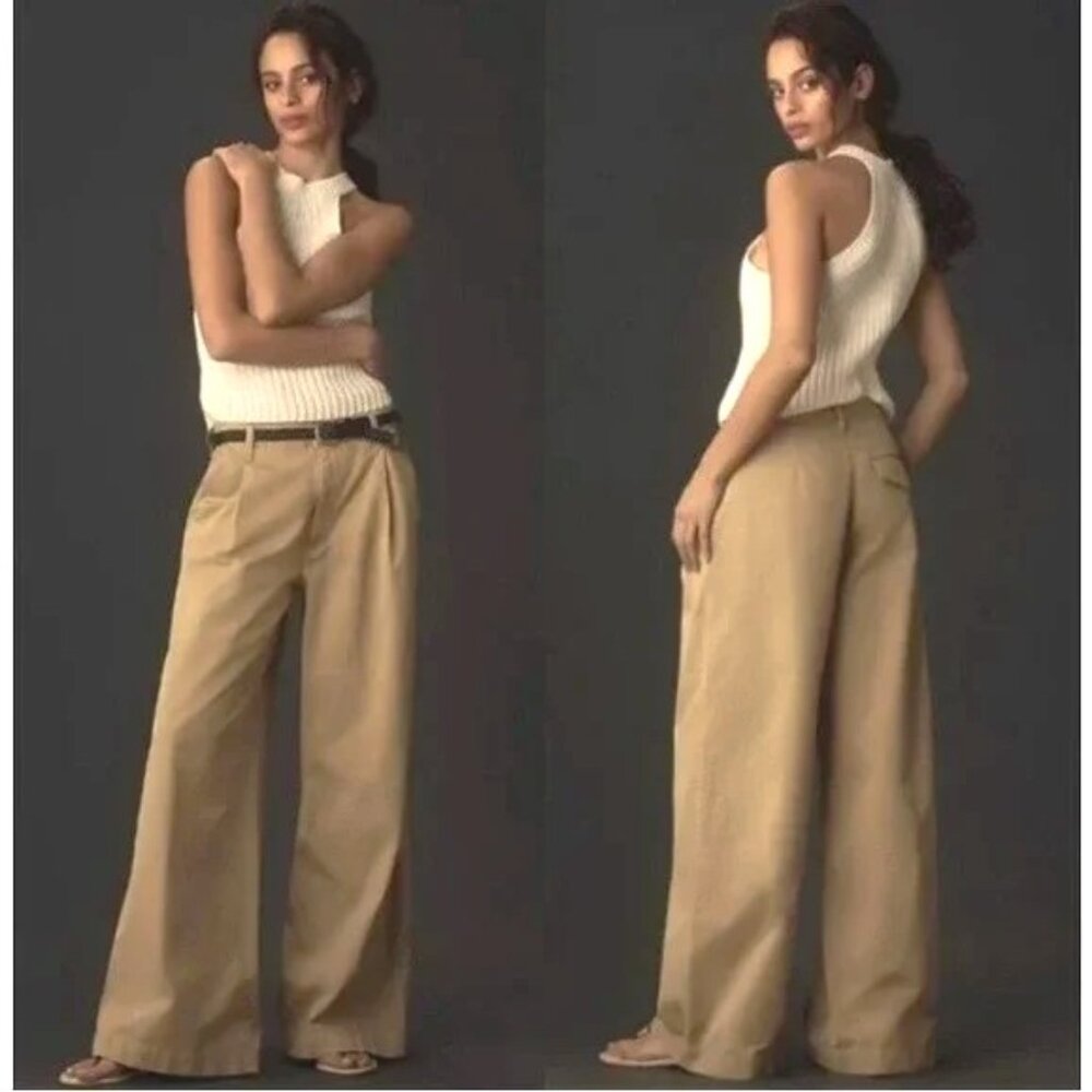 NWOT AGOLDE DARYL PANT High Rise Pleated Wide Flare Leg Trouser Basket Beige 29